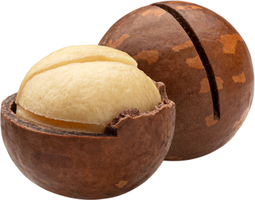 Macadamia nuts